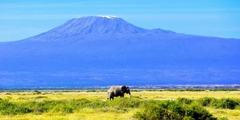 3 Days Mid Range Marvel of Mid Range Safari in Serengeti and Ngorongoro Crater