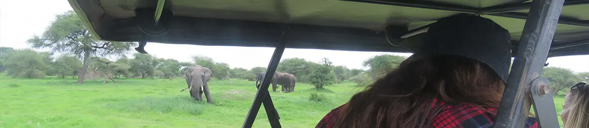 Tarangire national park