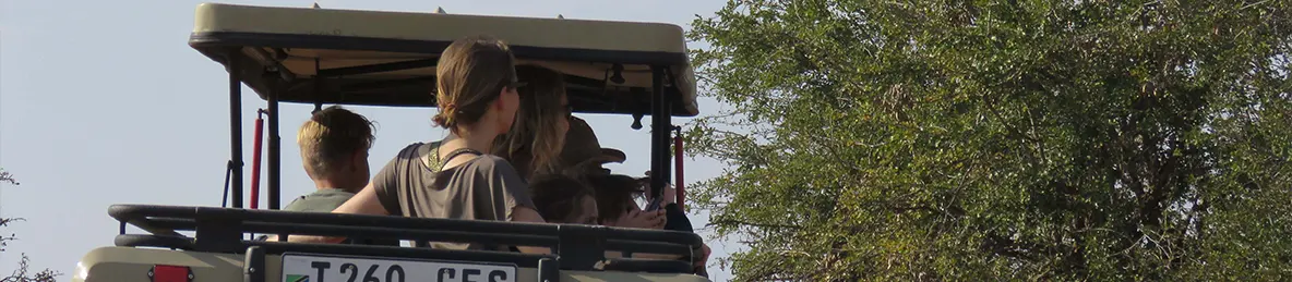 Tarangire national park