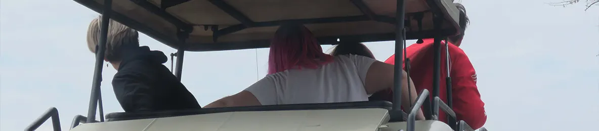 Tarangire national park