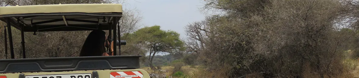 Tarangire national park