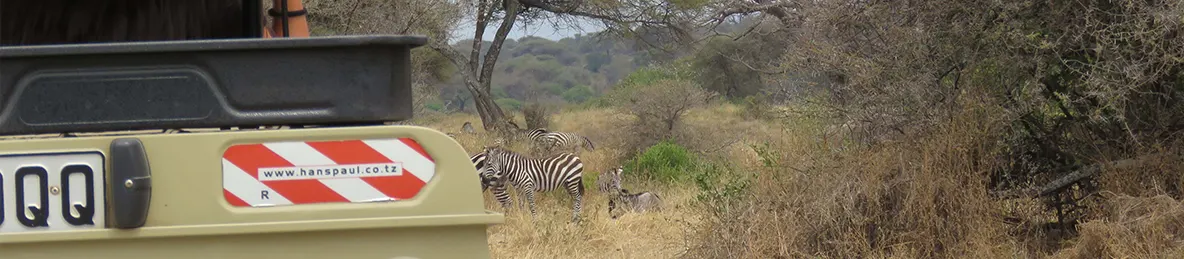 Tarangire national park