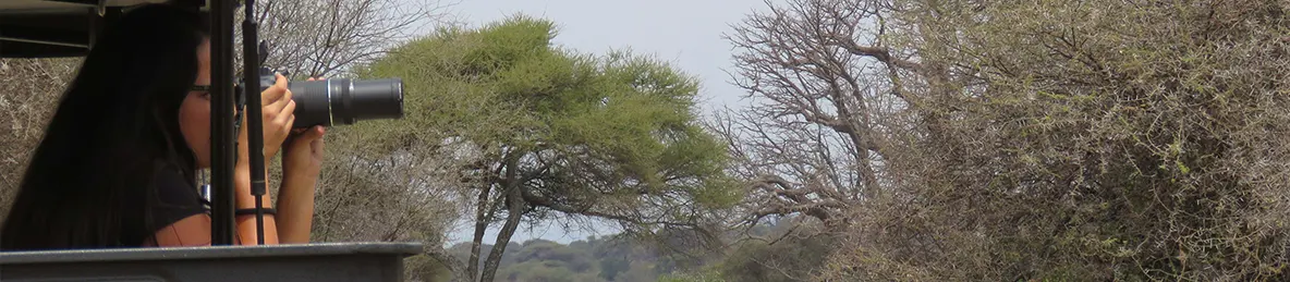 Tarangire national park
