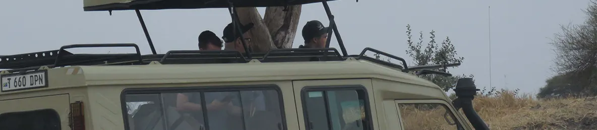 Tarangire national park