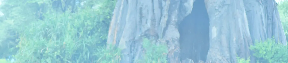 Tarangire national park