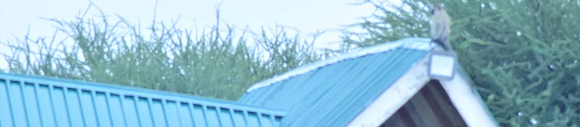 Tarangire national park