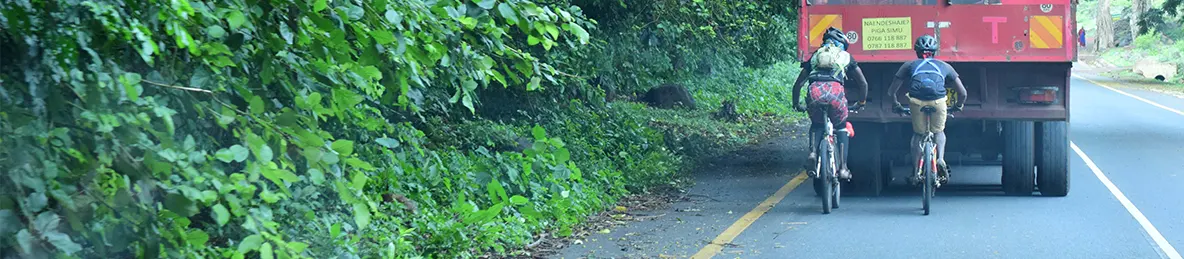 Tarangire national park