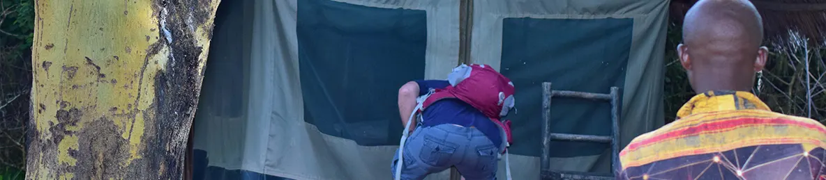 Tarangire national park