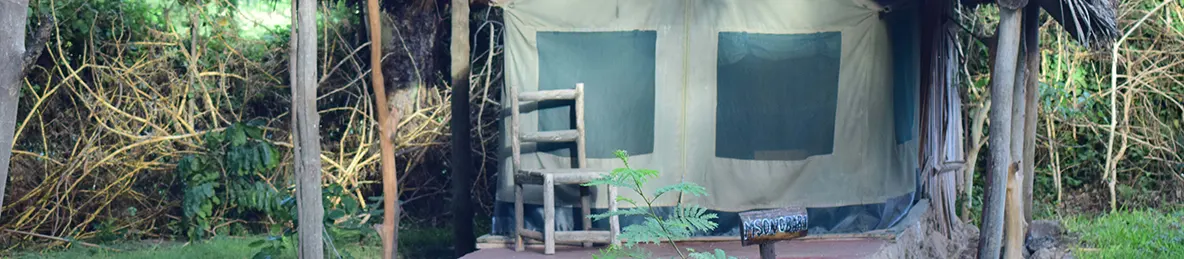 Tarangire national park