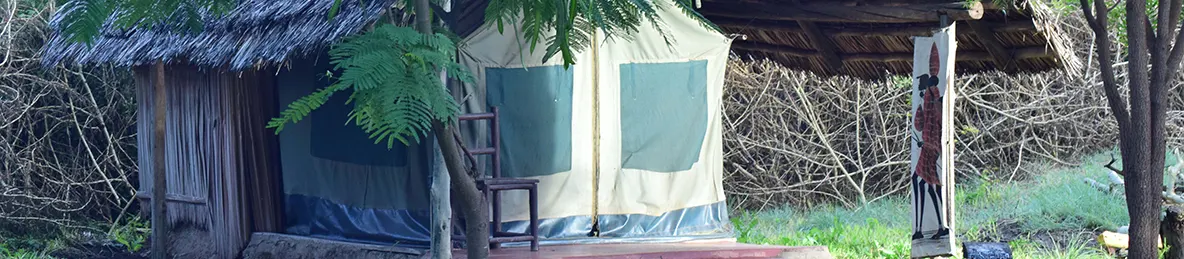 Tarangire national park