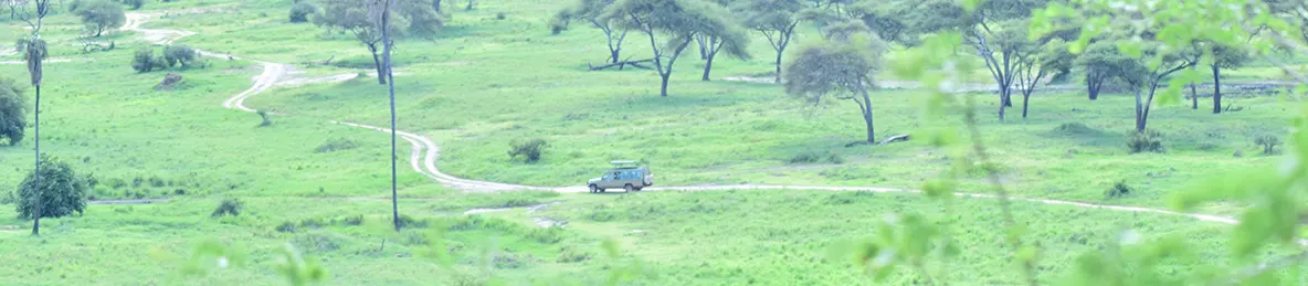 Tarangire national park