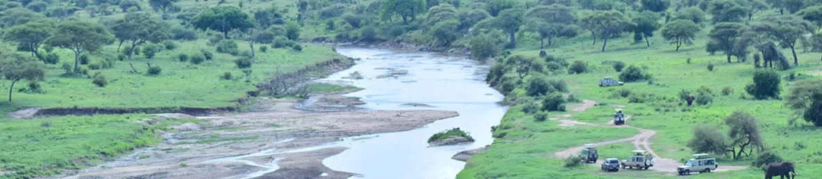 Tarangire national park