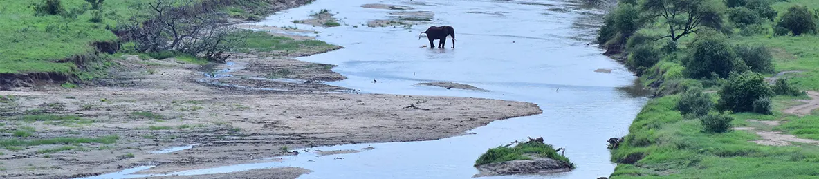 Tarangire national park