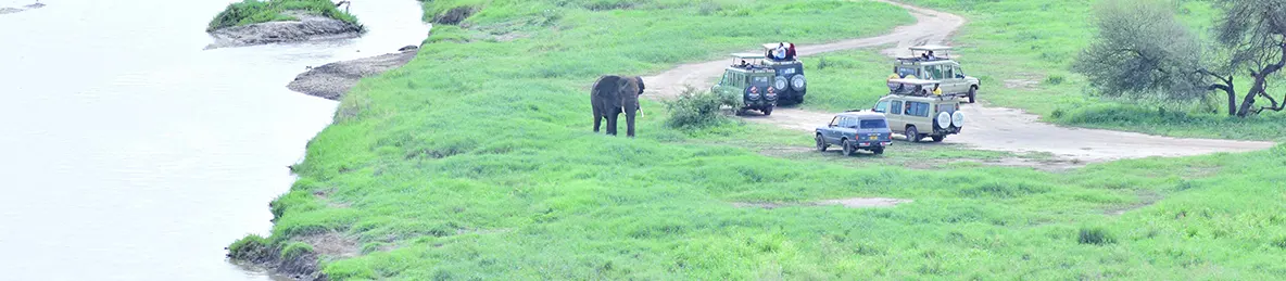 Tarangire national park