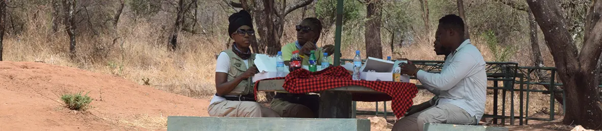 Tarangire national park