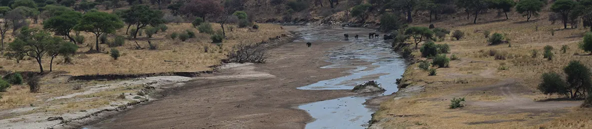 Tarangire national park
