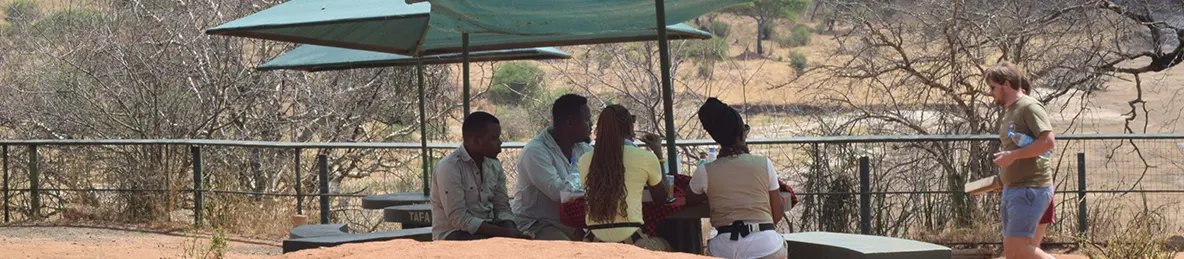 Tarangire national park