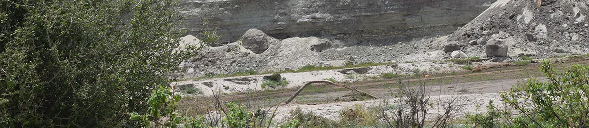 Tarangire national park