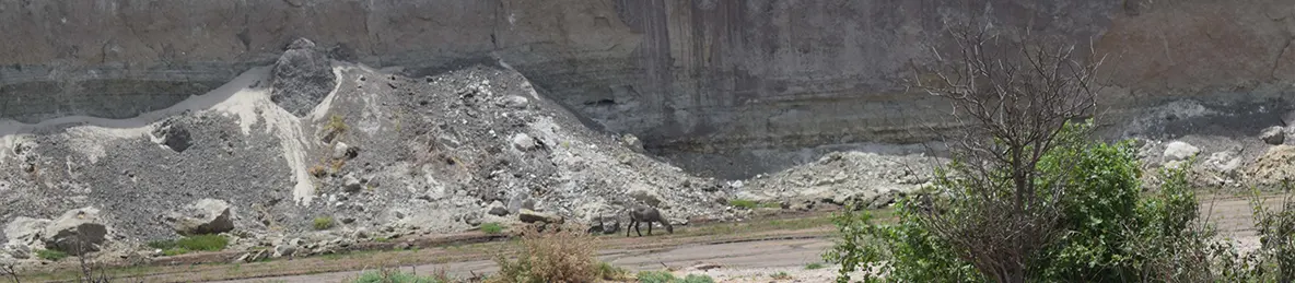 Tarangire national park