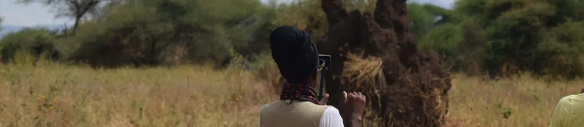 Tarangire national park