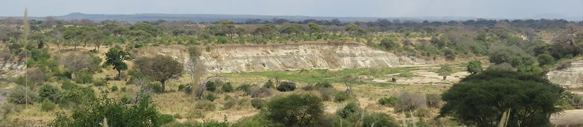 Tarangire national park