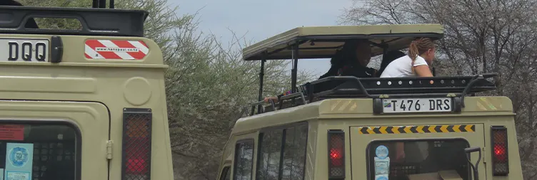 Arusha to Tarangire National Park 