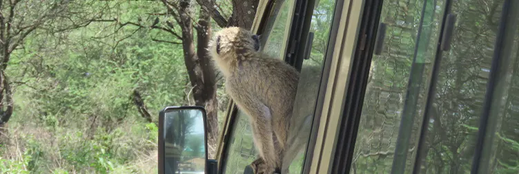 : Arusha to Tarangire (Full Day) 