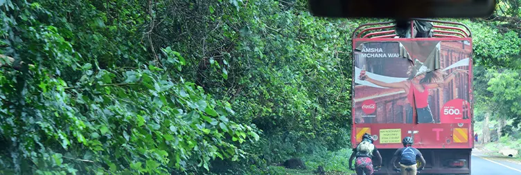 Arusha to Tarangire National Park 