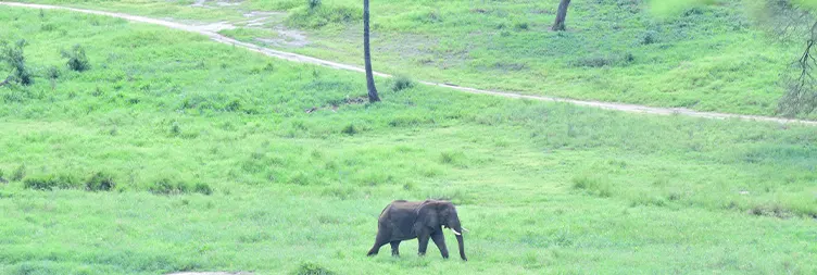 Serengeti to Ngorongoro 
