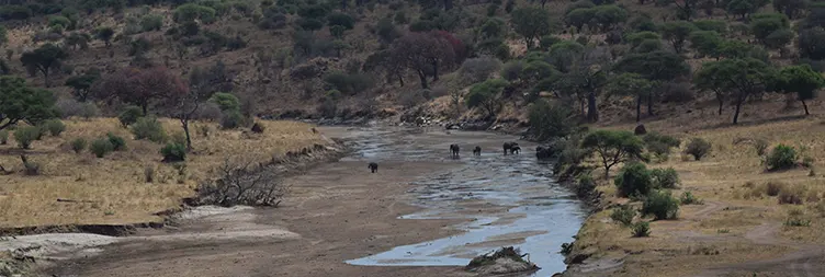 Ngorongoro Crater (Full Day Tour) Back to Arusha