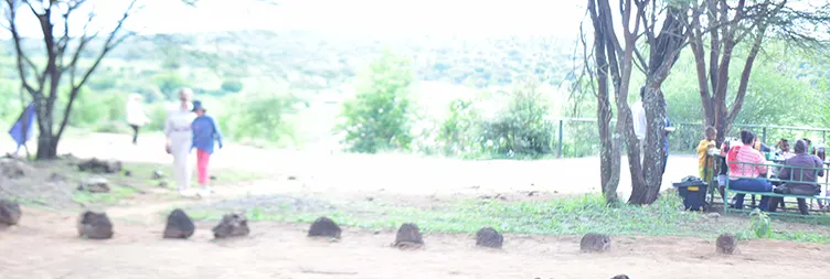 Arusha to Tarangire (Full Day) 