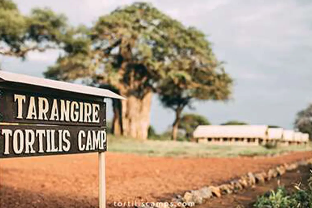 Tarangire Tortilis Camp Images