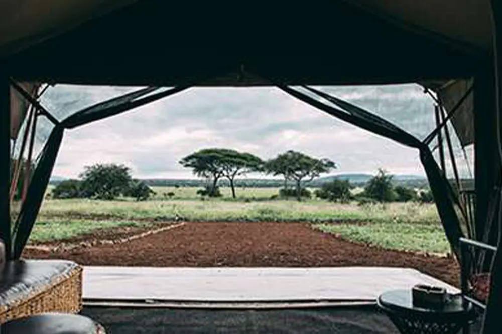 Tarangire Tortilis Camp Images
