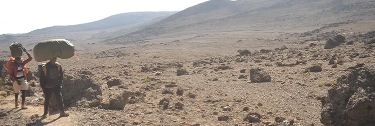 Horombo Hut to  Mandara Hut to  Marangu Gate - Back to Moshi/Arusha 