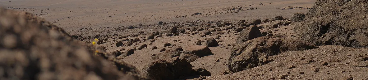 Kilimanjaro Rongai Route, Northern Circuit Route