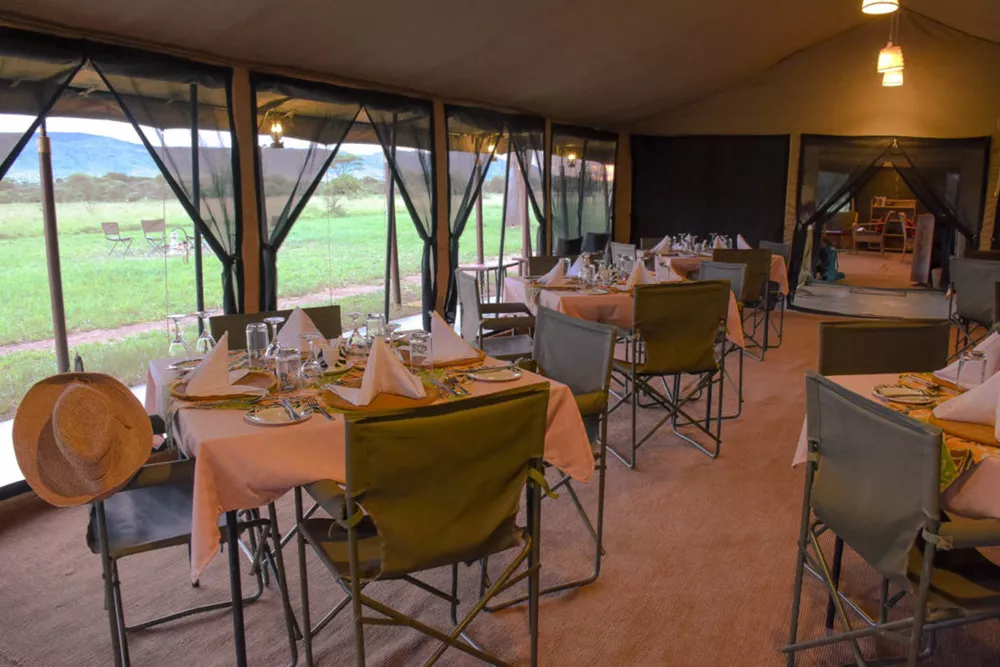 Thorn Tree Camp at Central Serengeti Images