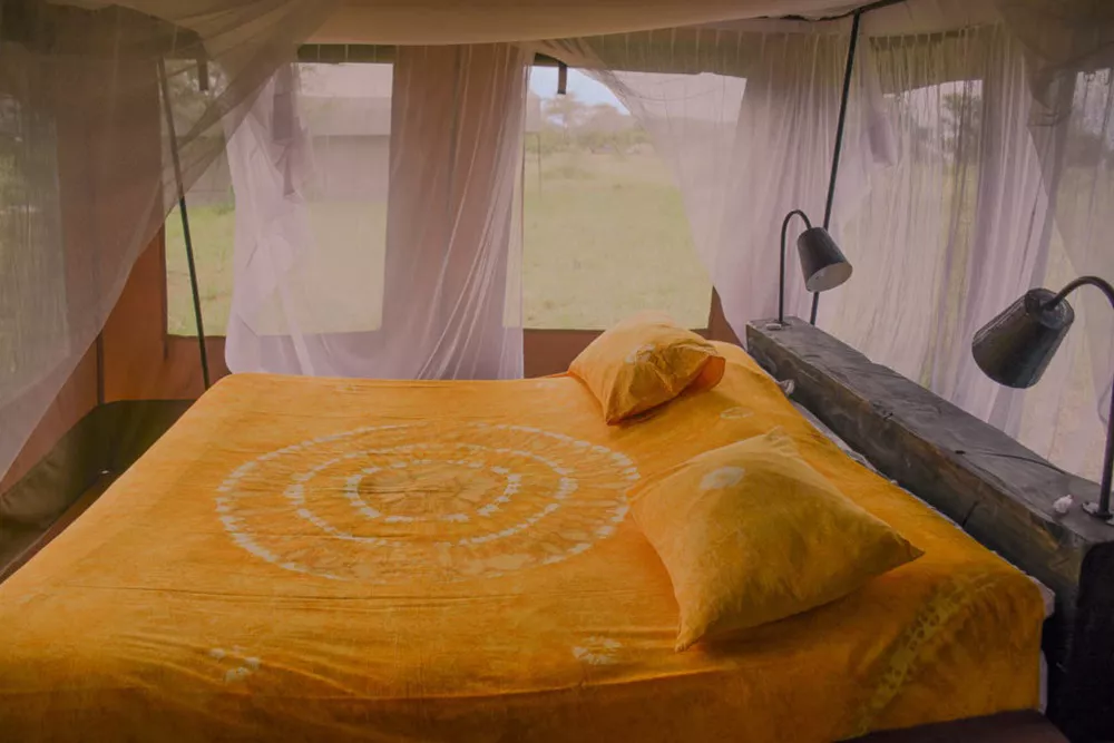 Thorn Tree Camp at Central Serengeti Images