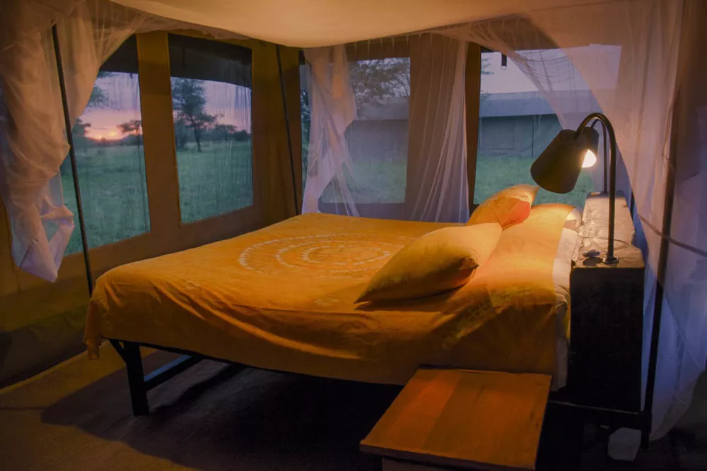 Thorn Tree Camp at Central Serengeti Images