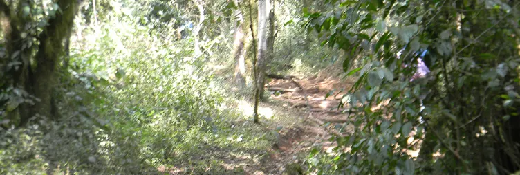 UMBWE GATE TO BIVOUAC CAMP