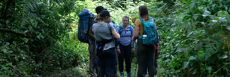 UMBWE GATE (1,800M) TO BIVOUAC (FIRST) CAMP (2,800M)