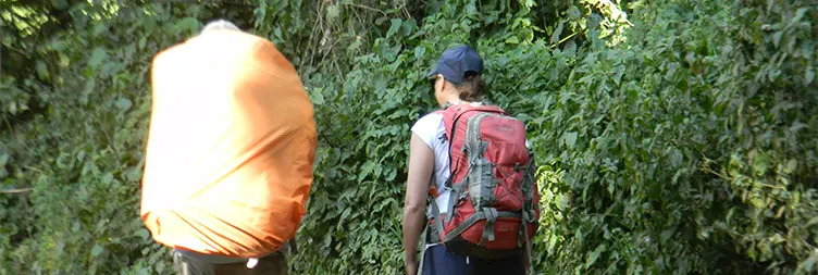 STARTING KILIMANJARO TREKKING UMBWE GATE TO UMBWE CAVE CAMP