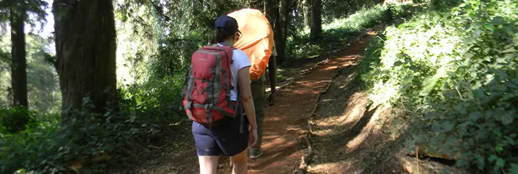 UMBWE GATE TREKKING KILIMANJARO TO UMBWE CAVE CAMP