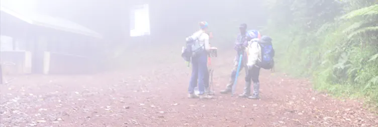 Mweka Camp â€“ Mweka Gate â€“ Back to Moshi/Arusha