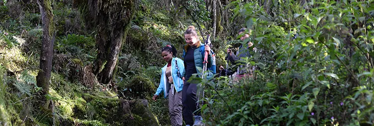 Mweka Camp â€“ Mweka Gate â€“ Back to Moshi/Arusha 