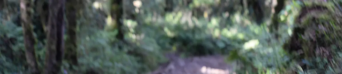 Kilimanjaro Machame Route, Lemosho Route, Umbwe Route