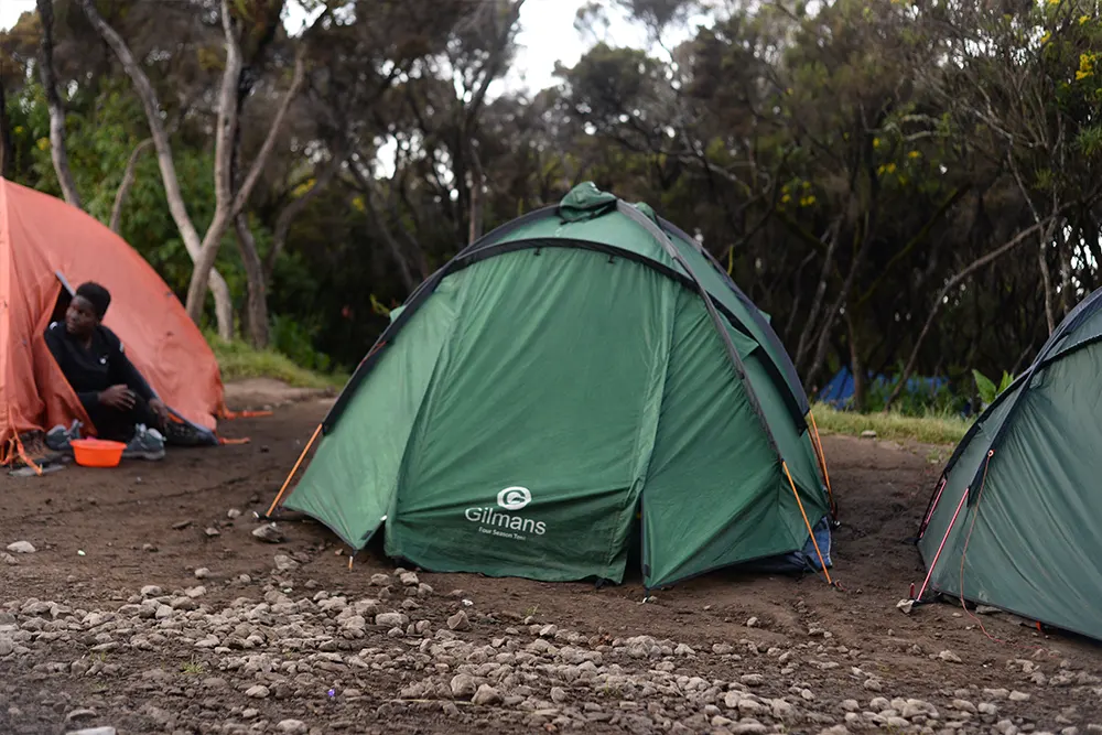 Mweka Campsite Kilimanjaro