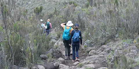 6 Days Kilimanjaro Trekking the Umbwe Route