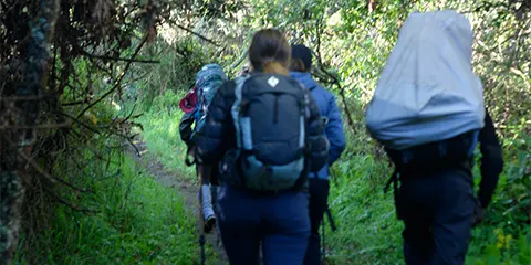 6 Days Kilimanjaro Climbing Umbwe Route