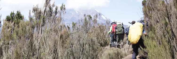Umbwe Camp to Barranco Camp