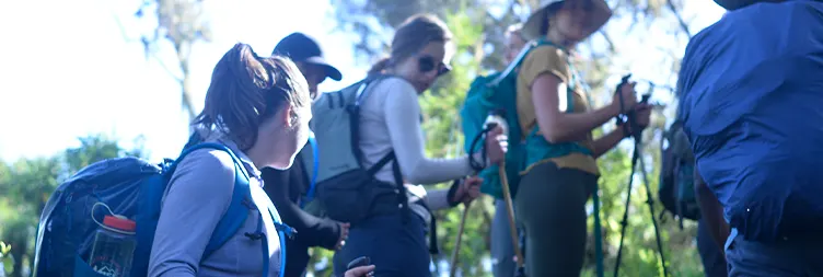 Emerge from Umbwe Camp to ascend towards Barranco Camp 